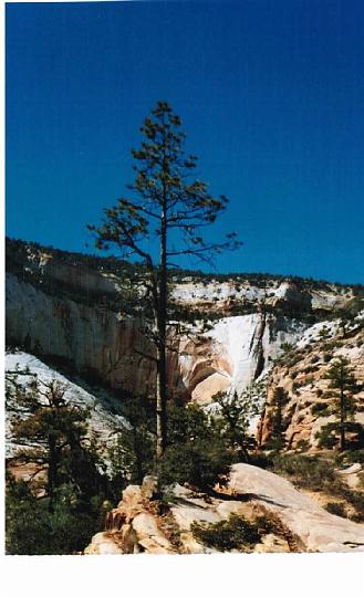 Sunday, April 18, 2004 (3)01.jpg