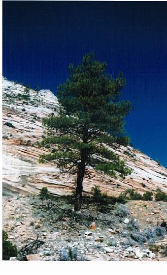 Sunday, April 18, 2004 (3)03.jpg