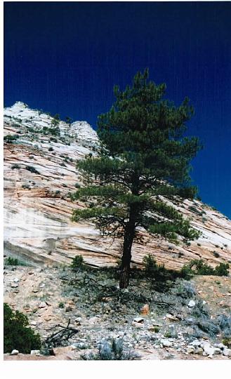 Sunday, April 18, 2004 (3)04.jpg