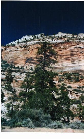 Sunday, April 18, 2004 (3)06.jpg