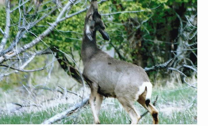 Sunday, April 18, 2004 (3)29.jpg