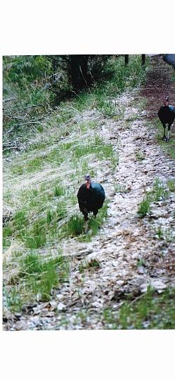 Sunday, April 18, 2004 (3)36.jpg