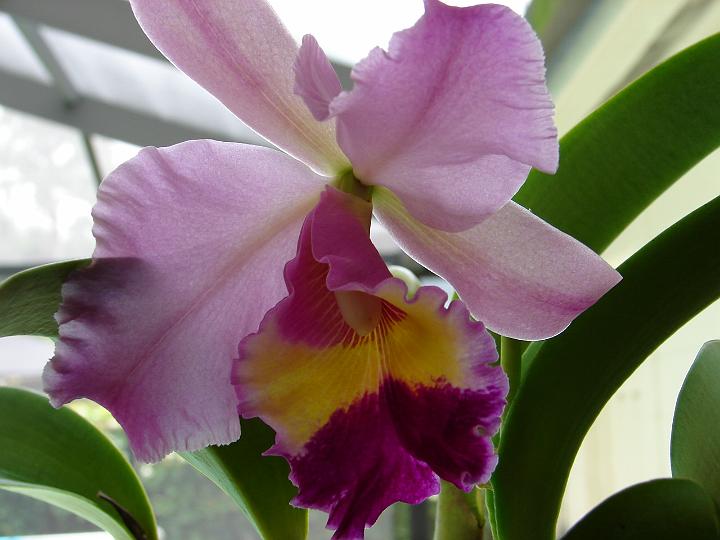 becca'scamera 011.jpg