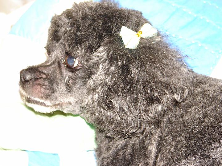 becca'scamera 015.jpg