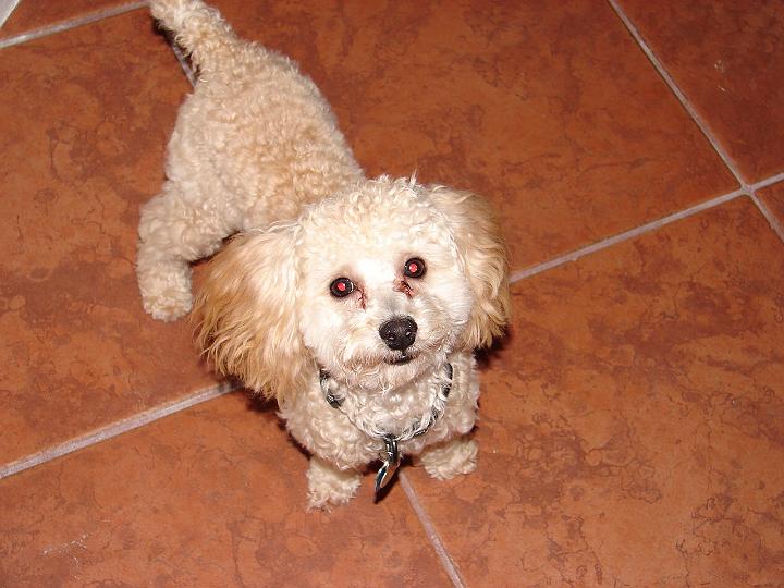 becca'scamera 019.jpg