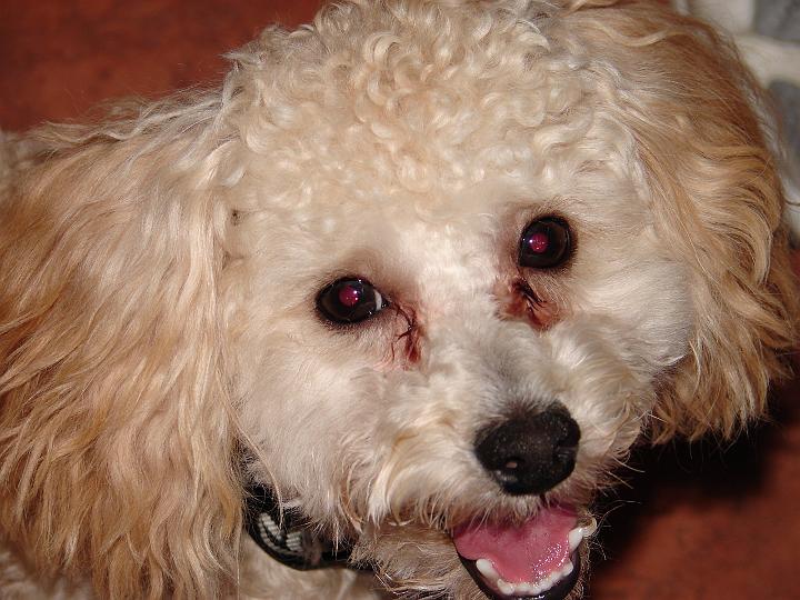 becca'scamera 027.jpg