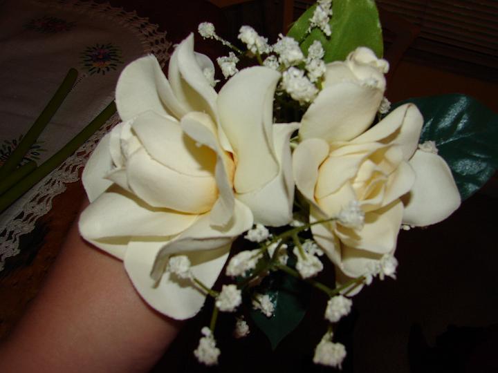 becca'scamera 029.jpg