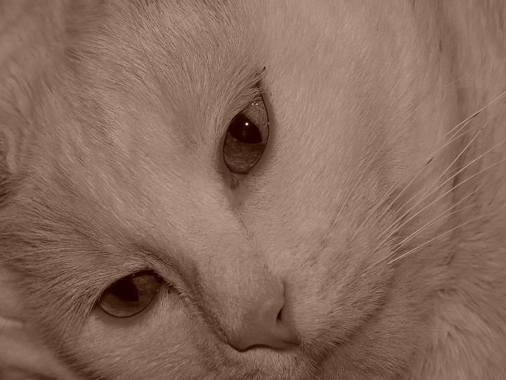 becca'scamera 037.jpg