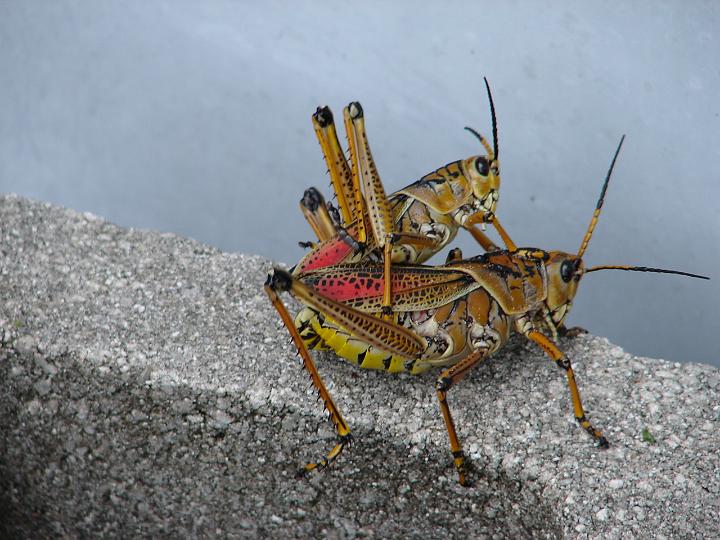 becca'scamera 040.jpg