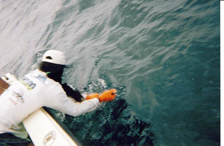 Costa Rica (1A).jpg - LEAD Technologies Inc. V1.01