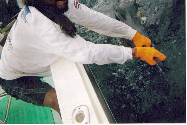 Costa Rica (1B).jpg - LEAD Technologies Inc. V1.01