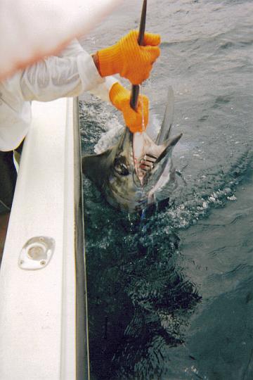 Costa Rica (2A).jpg - LEAD Technologies Inc. V1.01