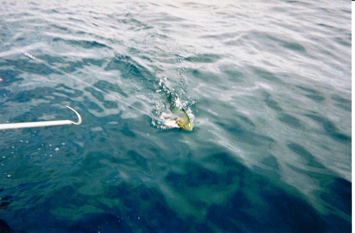 Costa Rica (3A).jpg - LEAD Technologies Inc. V1.01