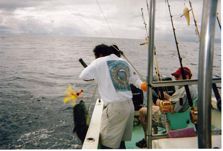 Costa Rica (3B).jpg - LEAD Technologies Inc. V1.01