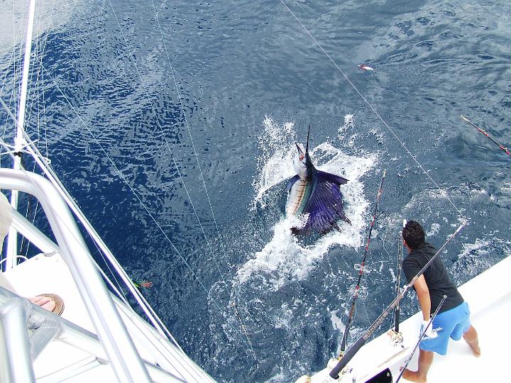 Costa Rica 4-2007 099.jpg