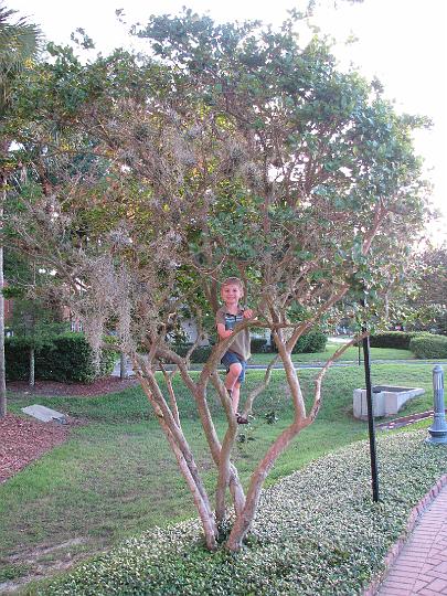 080624 Florida 091.jpg