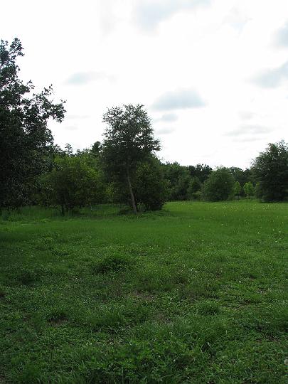 080624 Florida 099.jpg