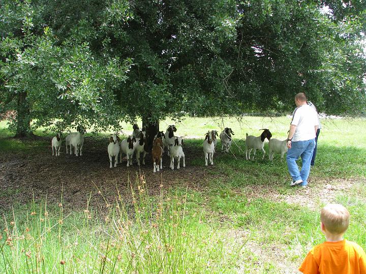 080624 Florida 105.jpg