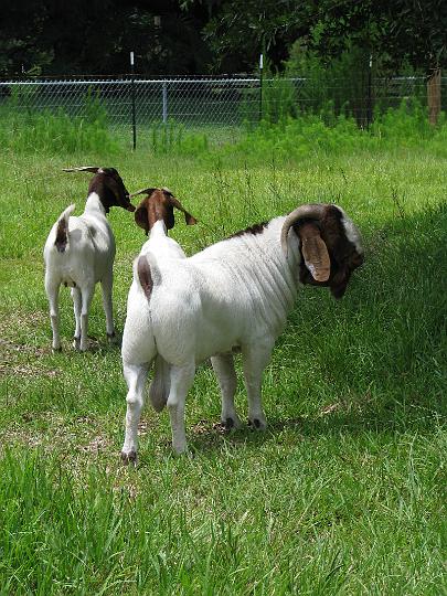 080624 Florida 106.jpg