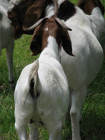 080624 Florida 107.jpg