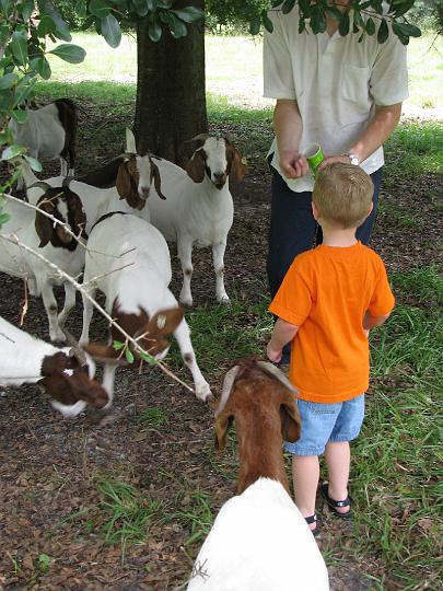 080624 Florida 109.jpg