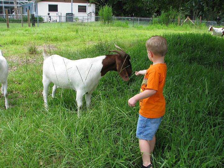 080624 Florida 111.jpg