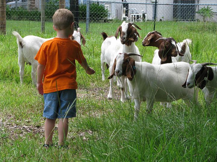 080624 Florida 112.jpg