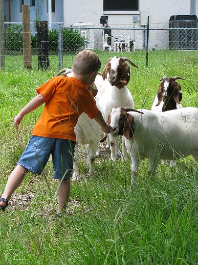 080624 Florida 113.jpg