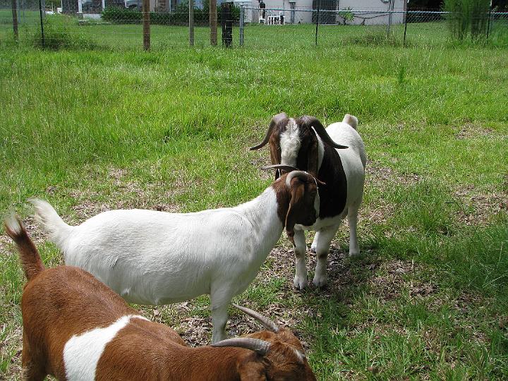 080624 Florida 114.jpg