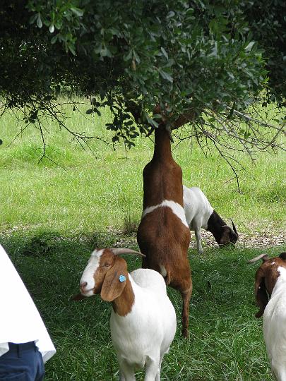 080624 Florida 116.jpg