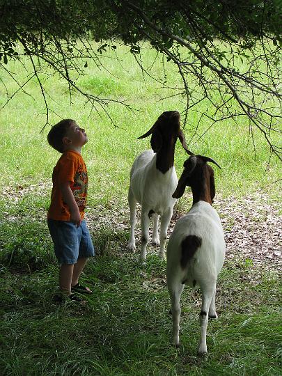 080624 Florida 123.jpg