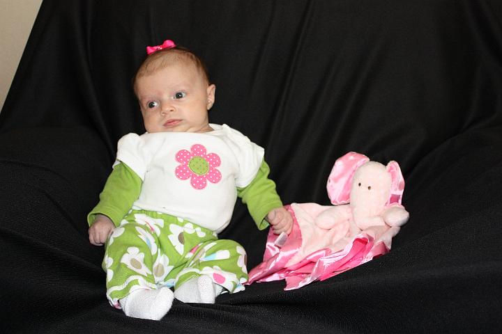 Copy of IMG_1338.JPG