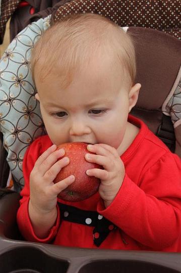 Apple Picking 10-16-10 017.jpg