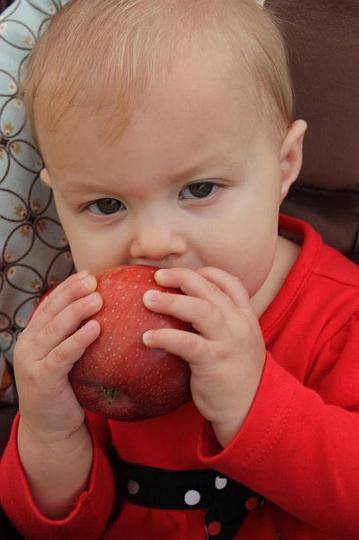 Apple Picking 10-16-10 019.jpg