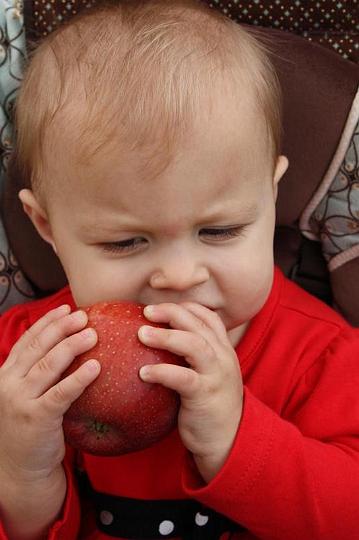 Apple Picking 10-16-10 021.jpg