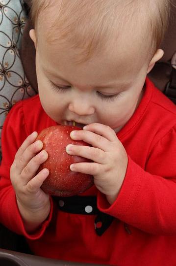 Apple Picking 10-16-10 023.jpg