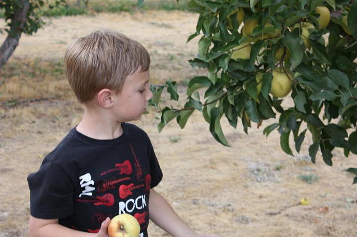 Apple Picking 10-16-10 026.jpg