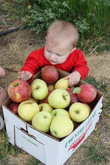 Apple Picking 10-16-10 031.jpg