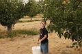 Apple Picking 10-16-10 002