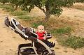 Apple Picking 10-16-10 003