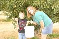 Apple Picking 10-16-10 012