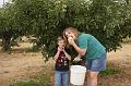 Apple Picking 10-16-10 014