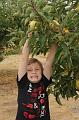 Apple Picking 10-16-10 024