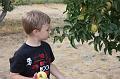 Apple Picking 10-16-10 026