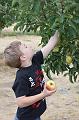 Apple Picking 10-16-10 027