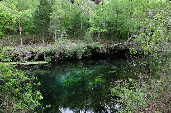 alachua083.JPG