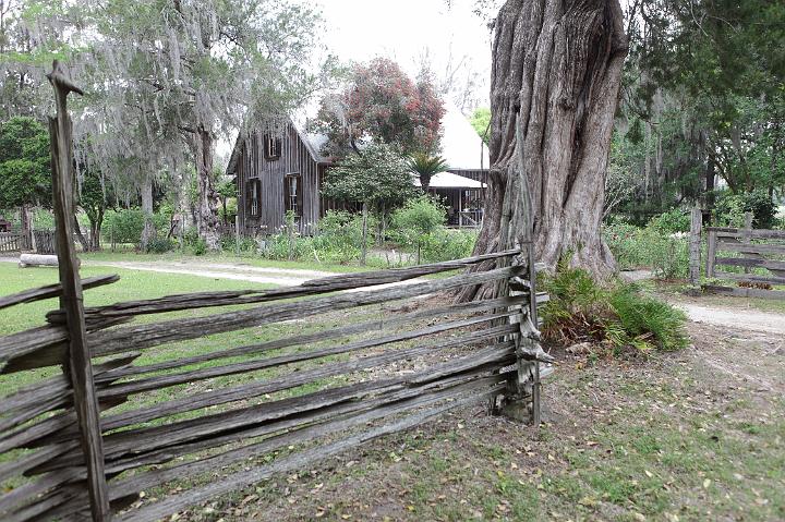 alachua118.JPG