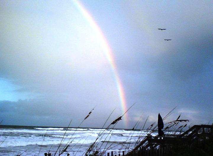 1106011720a.jpg - Rainbow with Sea Gulls