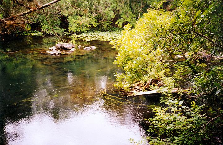 scan0006.jpg - Hillsborough River State Park