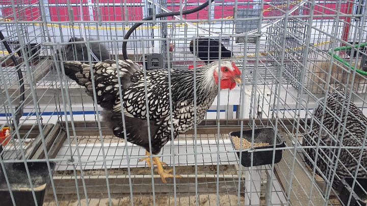 20140228_120812.jpg - METADATA-START���hUUUUUUÞ­¾ï���d�����)�Ä����UUUUUUUUÞ­¾ï�������UUUUUUUUÞ­¾ïUUUUUUUUÞ­¾ï��UU���UUUUUUUUÞ­¾ï��UUUUUUUUUUUUUUUUUUUUUUUUUUUUUUUUUUUUUUUUUUUUUUUUUUUUUUUUUUUUUUUUUUUUUUUUUUUUUUUUUUUUUUUUUUUUUUUUUUUUUUUUUUUUUUUUUUUUUUUUUUUUUUUUUUUUUUUUUUUUUUUUUUUUUUUUUUUUUUUUUUUUUUUUUUUUUUUUUUUUUUUUUUUUUUUUUUUUUUÞ­¾ï����UUUUUUUUUUUUUUUUUUUUÞ­¾ï�C�A�LUUUUUUCu�rUU0xDCB0UUUUUUUUUUUUUUUUUUUUUUUUUUUUUUUUUUUUUUUUUUUUUUUUUUUUUUUUUUUUUUUUUUUUUUUUÞ­¾ï�T�U�N�AUUUUUUUUUUUUUUUUUUUUUUUUUUUUUUUUUUUUUUUUUUUUUUUUUUUUUUUUUUUUUUUUUUUUUUUUUUUUUUUUUUUUUUUUUUUUÞ­¾ï®®®®FÁÄ�º)�YN�����������������������������������*�(Ú���������`¸�����������������������������������������_��D�ý��e��������d���������º'UUUUUUUUUUUUUUUUUUUUÞ­¾ïKJKJº&�Ë��ÿé����×�ÚÜ����"����)�ì�Ä������Új����»Ý�á|ÿþîä��/ ÿÿÀv�dØÿÿÚ²ÿÿþÿÿQ�å¢��������������3`�p���p�p����� �3`��p� �0� �0�0�0� � �0�0�0�0�0� ��� �� ���0� � � � � � � � � � � � �"1�"1�"1�"1�"A�"1�"1�"1�"1�"A�0�0�"1�3Q�"A�"A�0�"1�"1�"1�"1�"1�"1�"A�"A�"A�"1�"1�3Q�p�"1�"1�0�"A�3Q�"1�"1�"A�"1�"A�"A�"A�"A�"1�"1�p�"1�"1�"1�"A�"A�"A�"1�"1�"1�"A��"1�"A�"1�"1�"1�"1�"1�"1�"1�"1�"1�"1�"1�"1�0�"A�"A�"A�"A�"A�"1�"1�"1�"1�"1�"1�"1�"1�"1�"1�"A�"A�"A�"1�"A�"A�"A�"A�"1�"1�"1�"1�"1�3Q�"1�"A�3Q�"A�"A�"A�"A�3Q�3Q�3Q�"1�"1�"1�"1�"1�"A�"A�"1�"A�"1�"1�"A�"1�"1�"1�"A�"A�"1�"1�"1�"1�"1�"1�"1�"1�"1�"1�3Q�"1�"1�"1�"1�"1�"A�"1�"1�"1�"1�"1�"A�"1�"A�"A�3Q�3Q�"A�"A�"A�"A�"A�"A�"1�"1�"A�"A�"A�"A�"A�"A�"A�"A�"A�"A�"A�"A�"A�"A�"1�"1��"A�3Q�3Q�3Q�3Q�3Q�3Q�3Q�3Q�"A�"A�"A�"A�"A�"1�ï\��ÿø�ú�Ô^��ÿ´�ÂM�ºD���×�������������������������������������������������������������������������������������Ø(��ÿ±�º¥�Ø(��ÿ±�º¤�Ø(��ÿ±�º¤�Ø(��ÿ±�º¤�Ø(��ÿ±�º¤��������������������������������UUUUUUUUUUUUUUUUUUUUUUUUUUUUUUUUÞ­¾ï¯¯ÊÊ�S¯V�X��¯¯¯¯������������������������������������������������������������������������������������������������������������������������������������������������������������������������������������������������������������������������������������������������������¯¯¯¯��L��x�f�r�3�UUUUUUUUUUUUUUUUÞ­¾ïUUUUUUUUUUUUUUUUUUUUUUUUUUUUUUUUUUUUUUUUUUUUUUUUUUUUUUUUUUUUUUUUUUUUUUUUUUUUUUUUÞ­¾ïUUUUUUUUUUUUUUUUUUUUUUUUUUUUUUUUUUUUUUUUUUUUUUUUUUUUUUUUUUUUUUUUUUUUUUUUUUUUUUUUUUUUUUUUUUUUUUUUUUUUUUUUUUUUUUUUUUUUUUUUUUUUUUUUUUUUUUUUUUUUUUUUUUUUUUUUUUUUUUUUUUUUUUUUUUUUUUUUUUUUUUUUUUUUUUUUUUUUUUUUUUUUUUUUUUUUUUUUUUUUUUUUUUUUUUUUUUUUUUUUUUUUUUUUUUUUUUUUUUUUUUUUUUUUUUUUUUUUUUUUUUUUUUUUUUUUUUUUUUUUUUUUUUUUUUUUUUUUUUUUUUUUUUUUUUUUUUUUUUUUUUUUUUUUUUUUUUUUUUUUUUUUUUUUUUUUUUUUUUUUUUUUUUUUUUUUUUUUUUUUUUUUUUUUUUUUUUUUUUUUUUUUUUUUUUUUUUUUUUUUUUUUUUUUUUUUUUUUUUUUUUUUUUUUUUUUUUUUUUUUUUUUUUUUUUUUUUUUUUUUUUUUUUUUUUUUUUUUUUUUUUUUUUUUUUUUUUUUUUUUUUUUUUUUUUUUUUUUUUUUUUUUUUUUUUUUUUUUUUUUUUUUUUUUUUUUUUUUUUUUUUUUUUUUUUUUUUUUUUUUUUUUUUUUUUUUUUUUUUUUUUUUUUUUUUUUUUUUUUUUUUUUUUUUUUUUUUUUUUUUUUUUUUUUUUUUUUUUUUUUUUUUUUUUUUUUUUUUUUUUUUUUUUUUUUUUUUUUUUUUUUUUUUUUUUUUUUUUUUUUUUUUUUUUUUUUUUUUUUUUUUUUUUUUUUUUUUUUUUUUUUUUUUUUUUUUUUUUUUUUUUUUUUUUUUUUUUUUUUUUUUUUUUUUUUUUUUUUUUUUUUUUUUUUUUUUUUUUUUUUUUUUUUUUUUUUUUUUUUUUUUUUUUUUUUUUUUUUUUUUUUUUUUUUUUUUUUUUUUUUUUUUUUUUUUUUUUUUUUUUUUUUUUUUUUUUUUUUUUUUUUUUUUUUUUUUUUUUUUUUUUUUUUUUUUUUUUUUUUUUUUUUUUUUUUUUUUUUUUUUUUUUUUUUUUUUUUUUUUUUUUUUUUUUUUUUUUUUUUUUUUUUUUUUUUUUUUUUUUUUUUUUUUUUUUUUUUUUUUUUUUUUUUUUUUUUUUUUUUUUUUUUUUUUUUUUUUUUUUUUUUUUUUUUUUUUUUUUUUUUUUUUUUUUUUUUUUUUUUUUUUUUUUUUUUUUUUUUUUUUUUUUUUUUUUUUUUUUUUUUUUUUUUUUUUUUUUUUUUUUUUUUUUUUUUUUUUUUUUUUUUUUUUUUUUUUUUUUUUUUUUUUUUUUUUUUUUUUUUUUUUUUUUUUUUUUUUUUUUUUUUUUUUUUUUUUUUUUUUUUUUUUUUUUUUUUUUUUUUUUUUUUUUUUUUUUUUUUUUUUUUUUUUUUUUUUUUUUUUUUUUUUUUUUUUUUUUUUUUUUUUUUUUUUUUUUUUUUUUUUUUUUUUUUUUUUUUUUUUUUUUUUUUUUUUUUUUUUUUUUUUUUUUUUUUUUUUUUUUUUUUUUUUUUUUUUUUÞ­¾ï������ïUUUUUUUUUUUUUUUUUUUUUUUUUUUUUUUUÞ­¾ïUUUUMETADATA-END